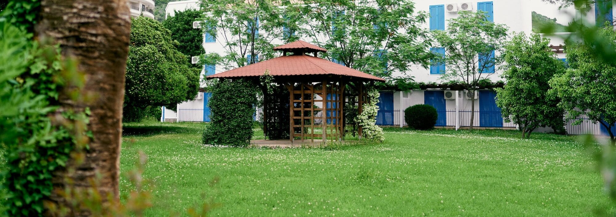 Gazebo entwined with greenery and flowers on the lawn in front of the house, surrounded by trees